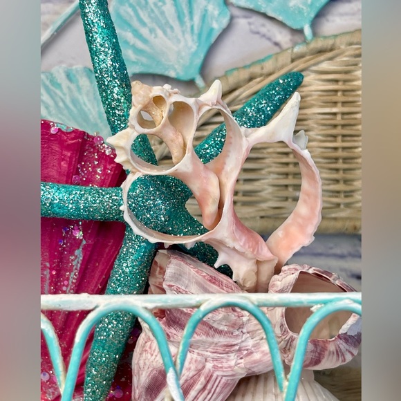 JUST IN- LG PINK MUREX CENTER CUT SHELLS SLICES DIY CRAFTING LOT - Picture 6 of 15